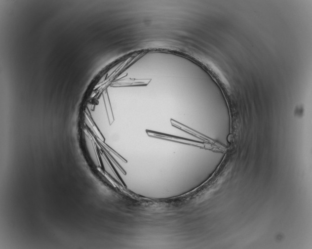 X0000102470991200808221638