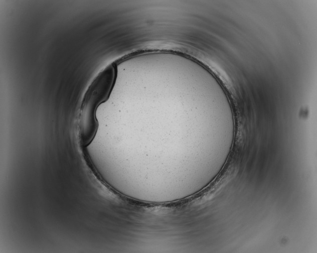 X0000102470992200808221638