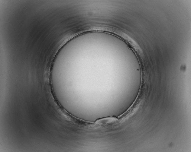 X0000102470993200808221638