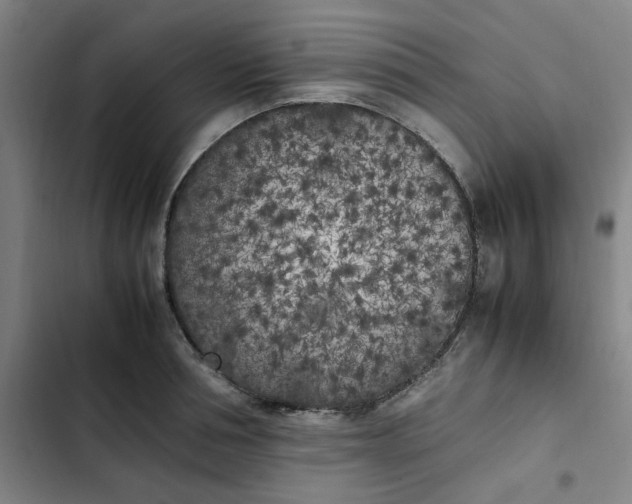 X0000102470994200808221638