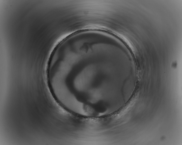 X0000102470995200808221638