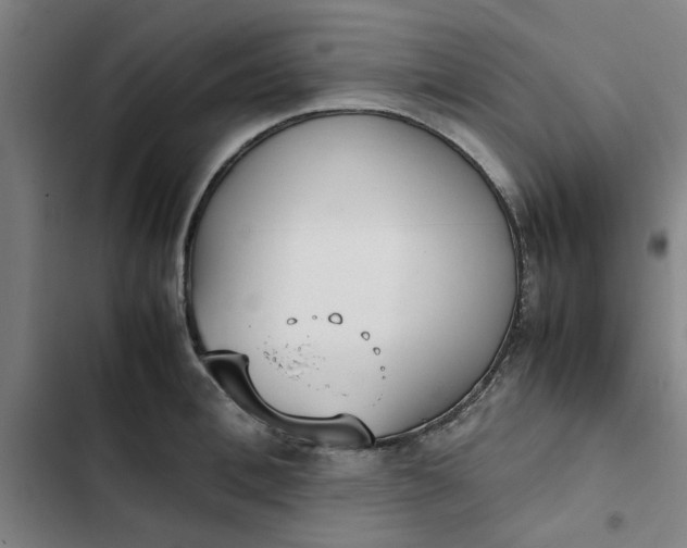 X0000102470996200808221638