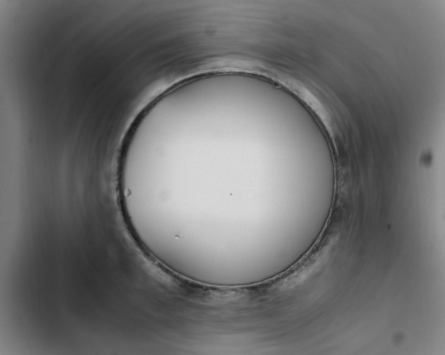 X0000102470997200808221638