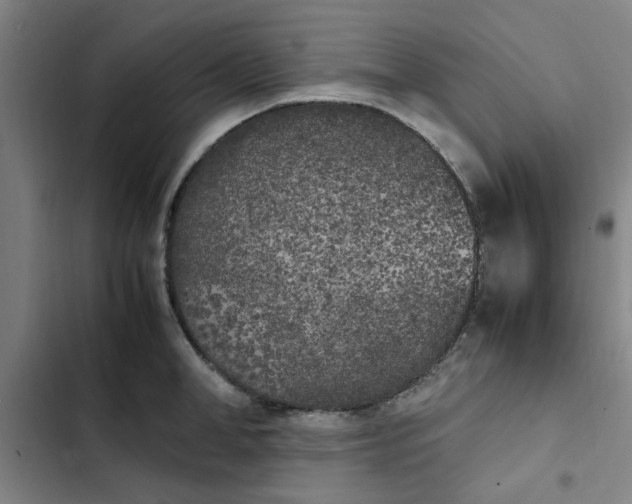 X0000102470998200808221638