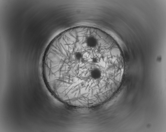 X0000102470999200808221638