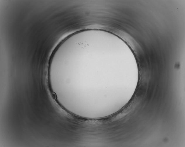 X0000102471000200808221638