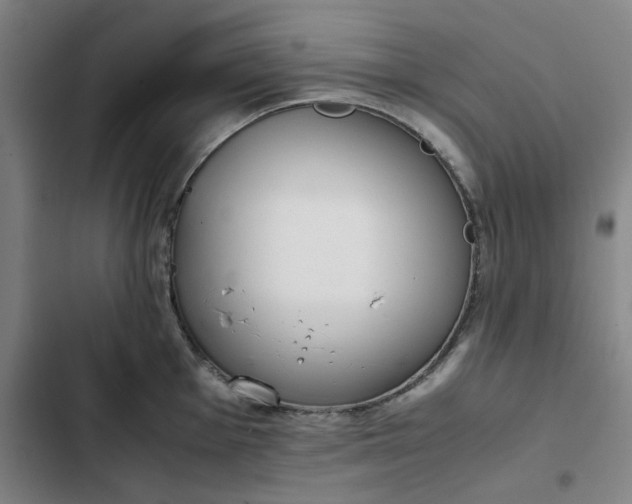 X0000102471001200808221638