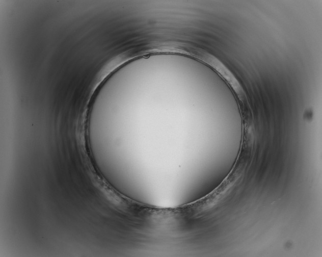 X0000102471002200808221638