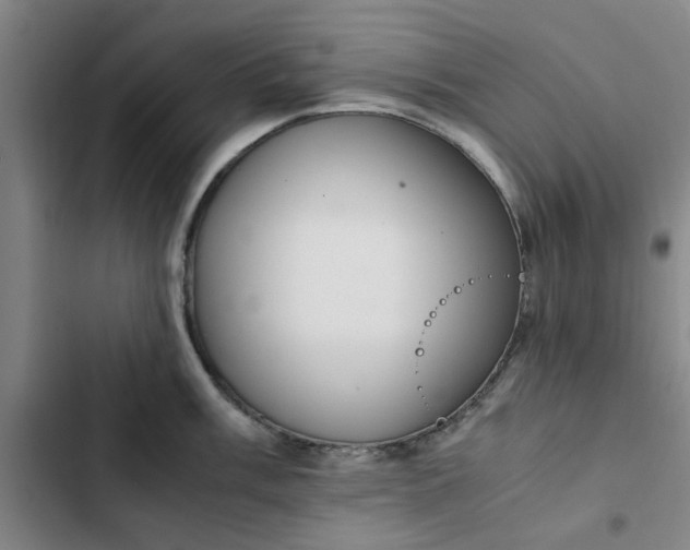 X0000102471003200808221638