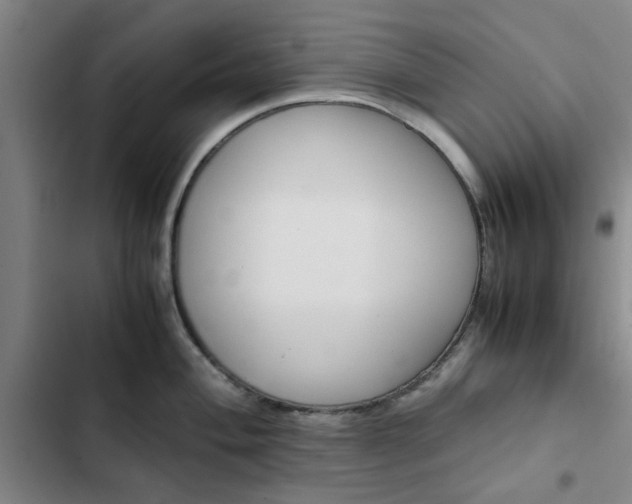 X0000102471004200808221638
