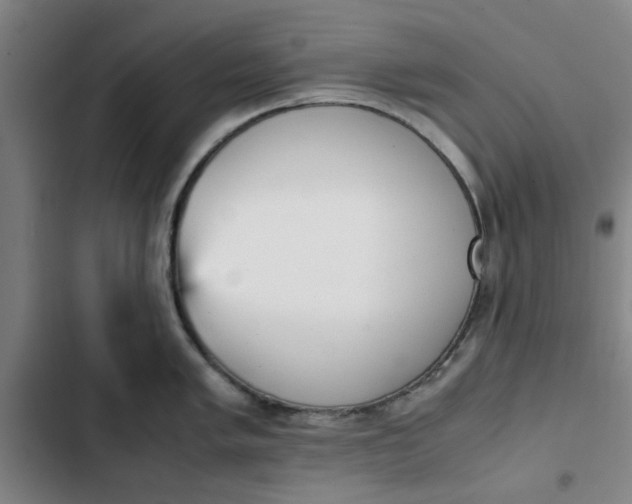 X0000102471005200808221638