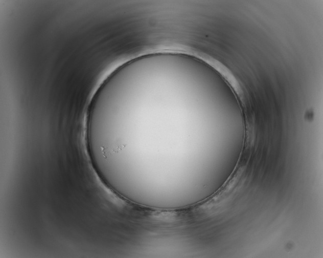 X0000102471006200808221638