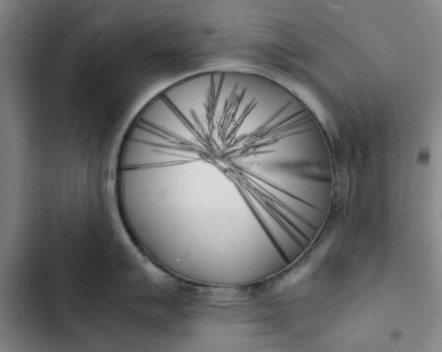 X0000102471007200808221638