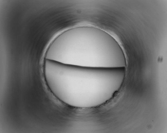 X0000102471008200808221638