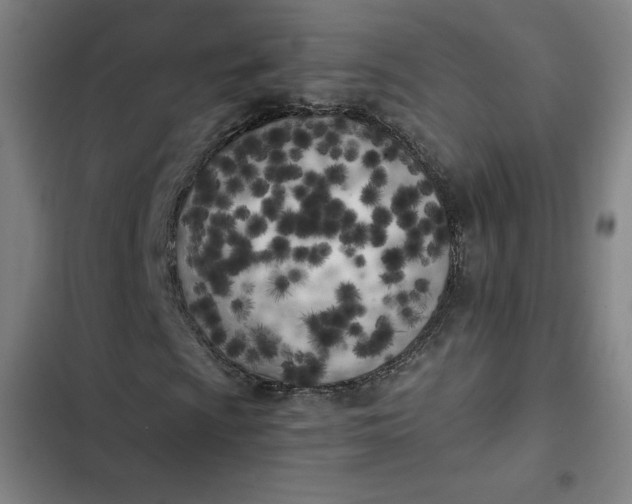 X0000102471009200808221638