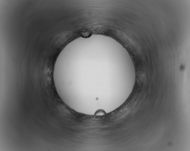 X0000102471010200808221638