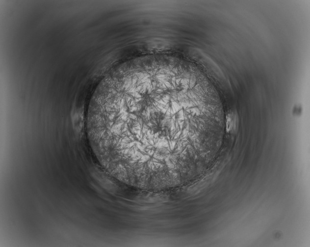 X0000102471011200808221638