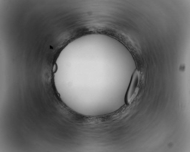 X0000102471012200808221638