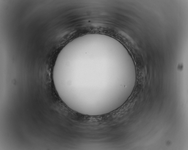 X0000102471013200808221638