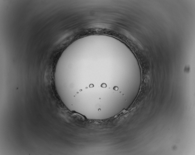 X0000102471014200808221638