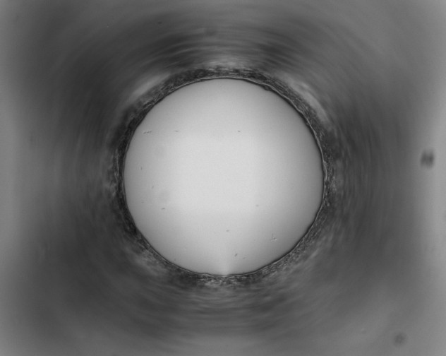 X0000102471015200808221638