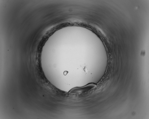 X0000102471016200808221638