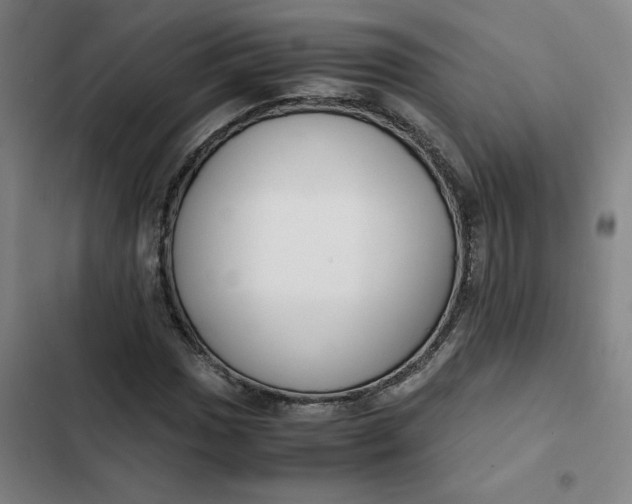 X0000102471017200808221638