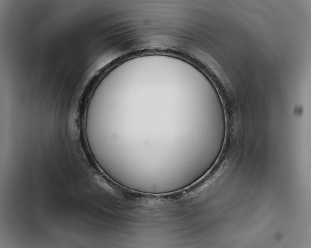 X0000102471018200808221638