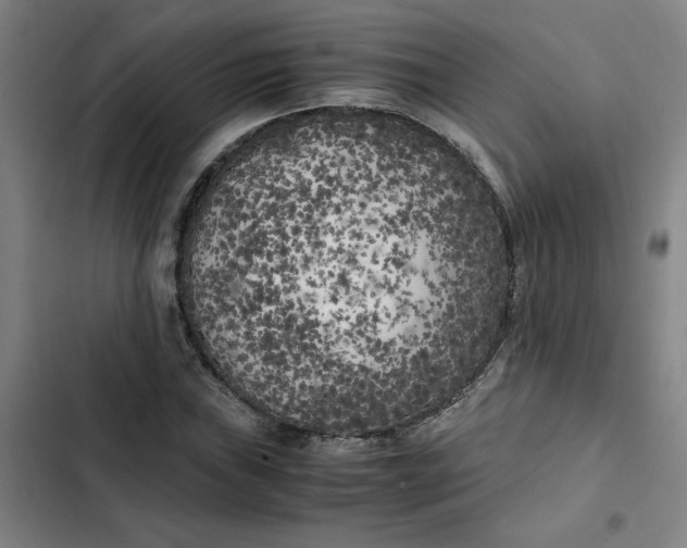 X0000102471019200808221638