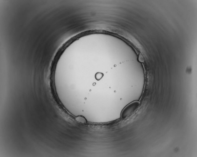 X0000102471020200808221638