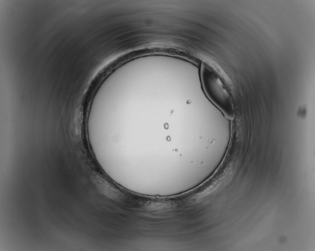 X0000102471021200808221638