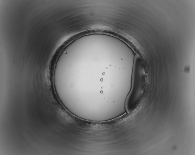 X0000102471022200808221638