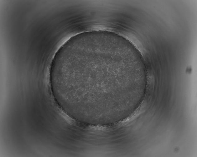 X0000102471023200808221638