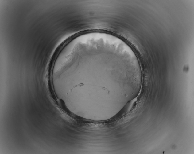 X0000102471024200808221638