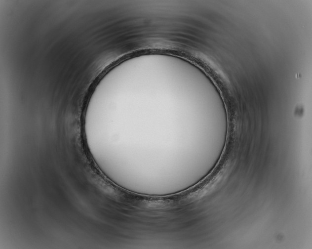 X0000102471025200808221638