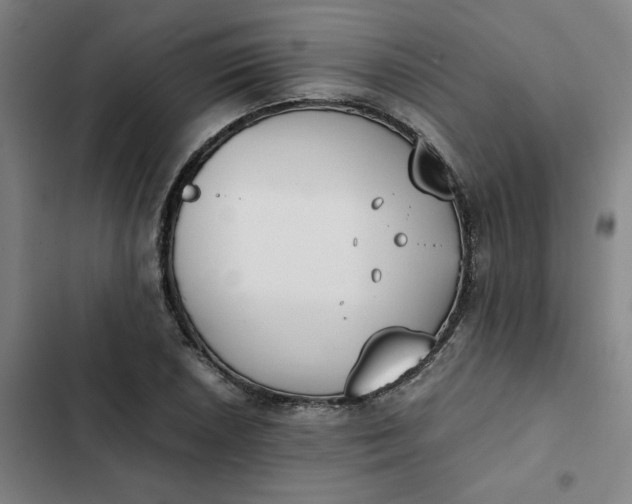 X0000102471026200808221638