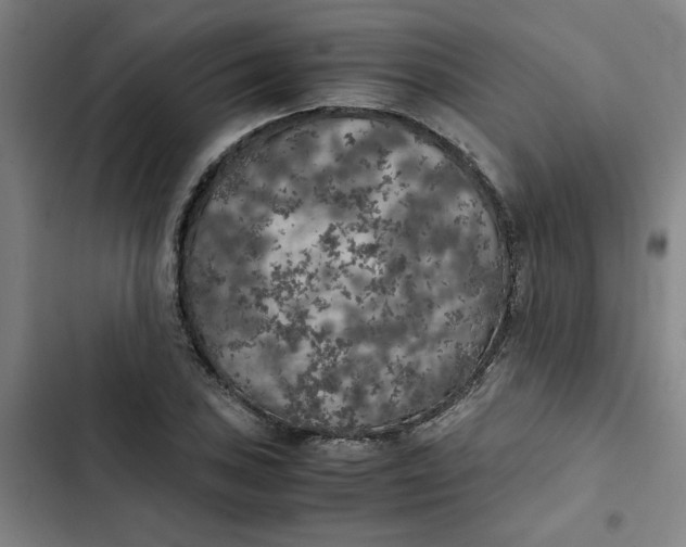 X0000102471027200808221638