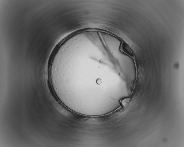X0000102471028200808221638