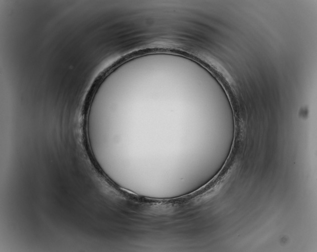 X0000102471029200808221638