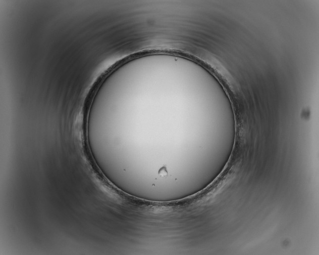 X0000102471030200808221638