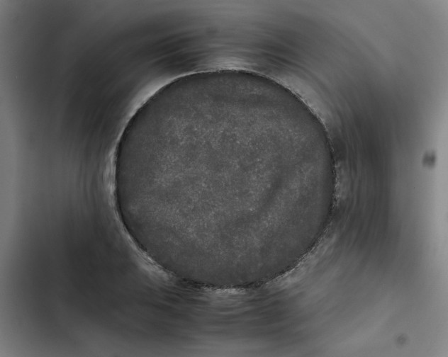 X0000102471031200808221638