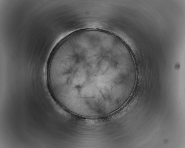 X0000102471032200808221638