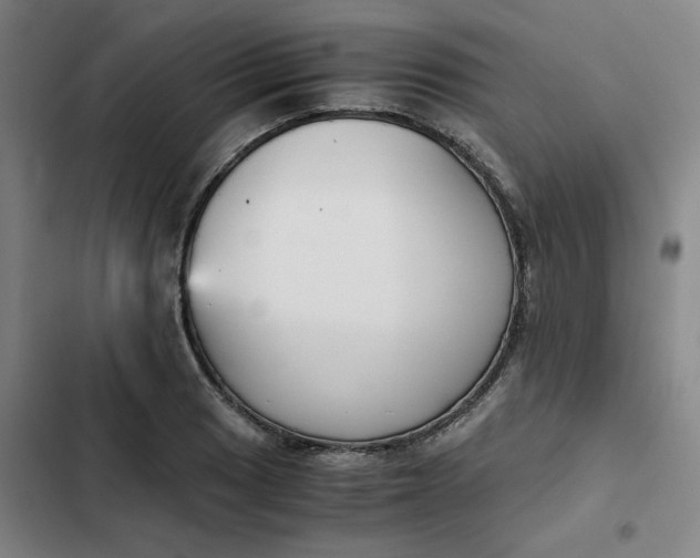 X0000102471033200808221638