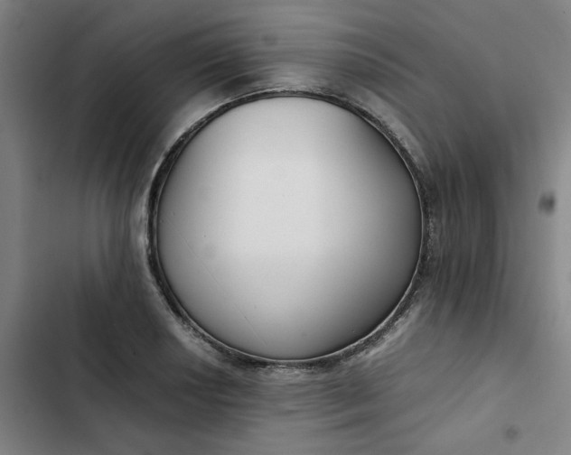 X0000102471034200808221638