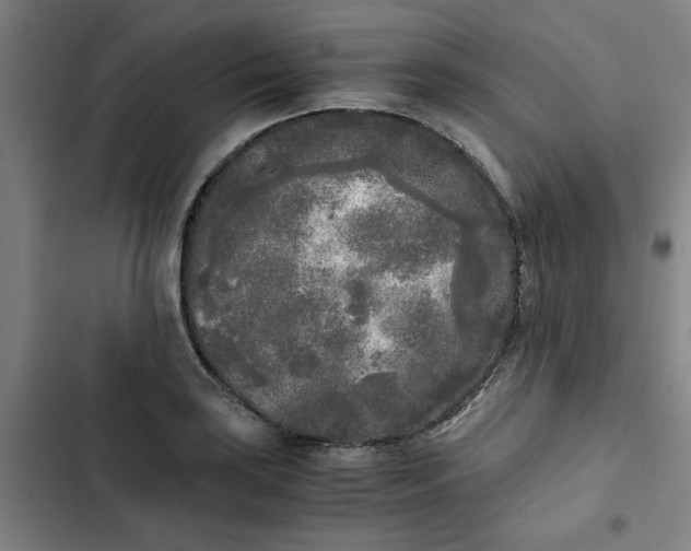 X0000102471035200808221638