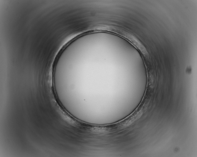 X0000102471036200808221638