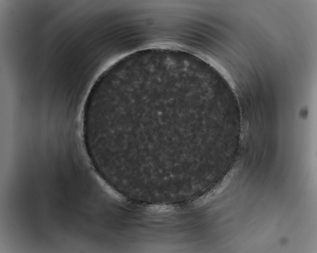 X0000102471037200808221638