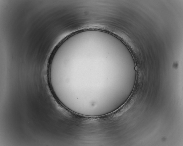 X0000102471038200808221638