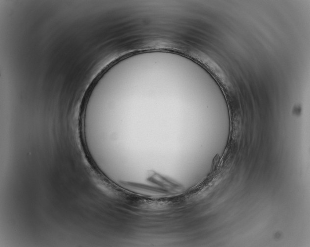 X0000102471039200808221638