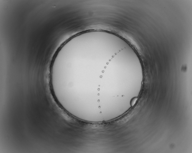 X0000102471040200808221638